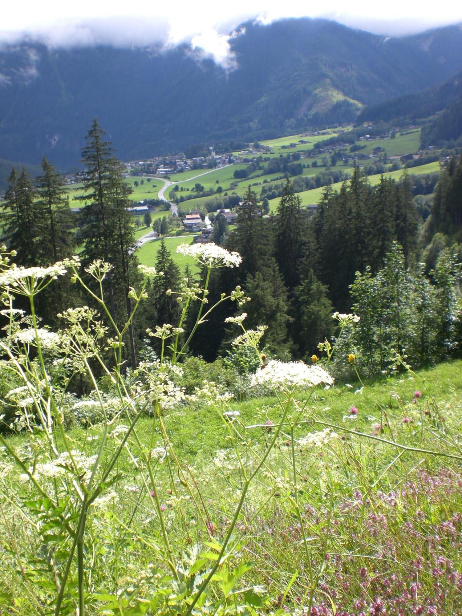 Gruppen Und Familienhof Falkenstein Hotel Krimml Eksteriør billede